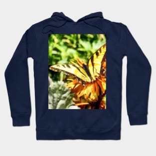 Butterflies - Tiger Swallowtail on Yellow Wildflower Hoodie